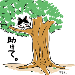 �l�R�g�o5