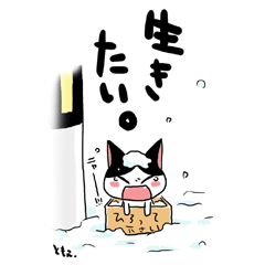 �l�R�g�o6