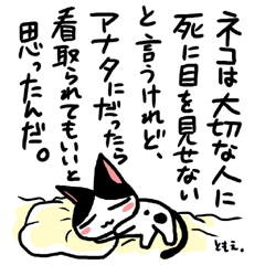 �l�R�g�o
