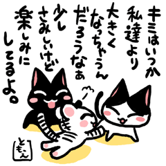�l�R�g�o