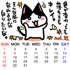 �J�����_�[